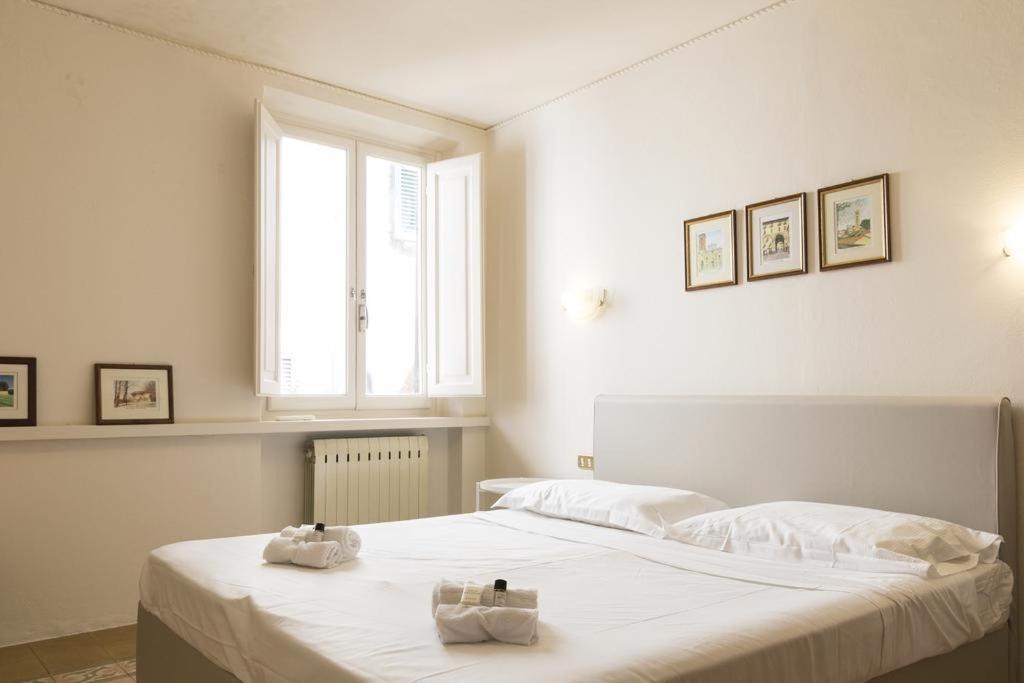 Mario'S Apartament With Ac And Wifi Lägenhet Lucca Exteriör bild
